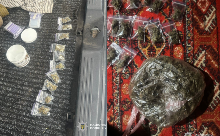 У Вільногірську викрито 19-річного збувача канабісу